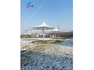 山東齊都藥業膜結構小品